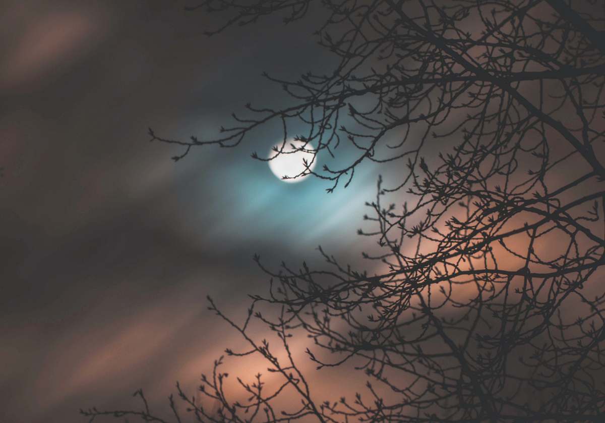 united states photo of moon during night time moon